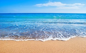 6th Grade Field Trip (Beach Clean-Up Day) - May 23, 2023 - article thumnail image